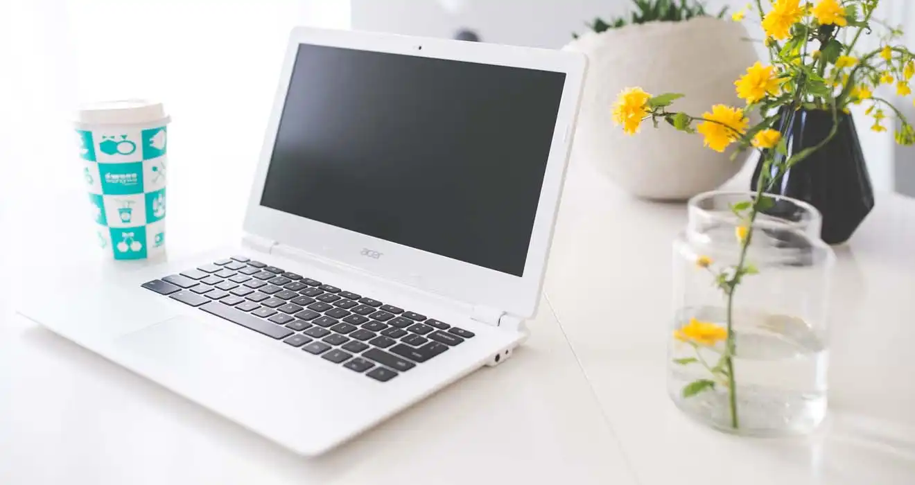 Ремонт ноутбуков Acer в Видном