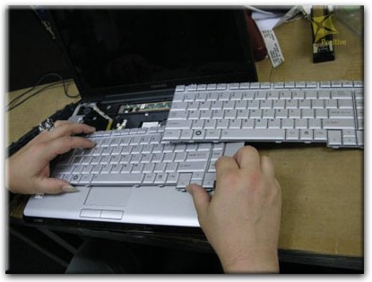 Ремонт клавиатуры на ноутбуке Toshiba в Видном